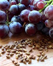 AudiQuiet grape seed extract for inner-ear microcirculation support